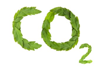 Water Efficiency Assessments